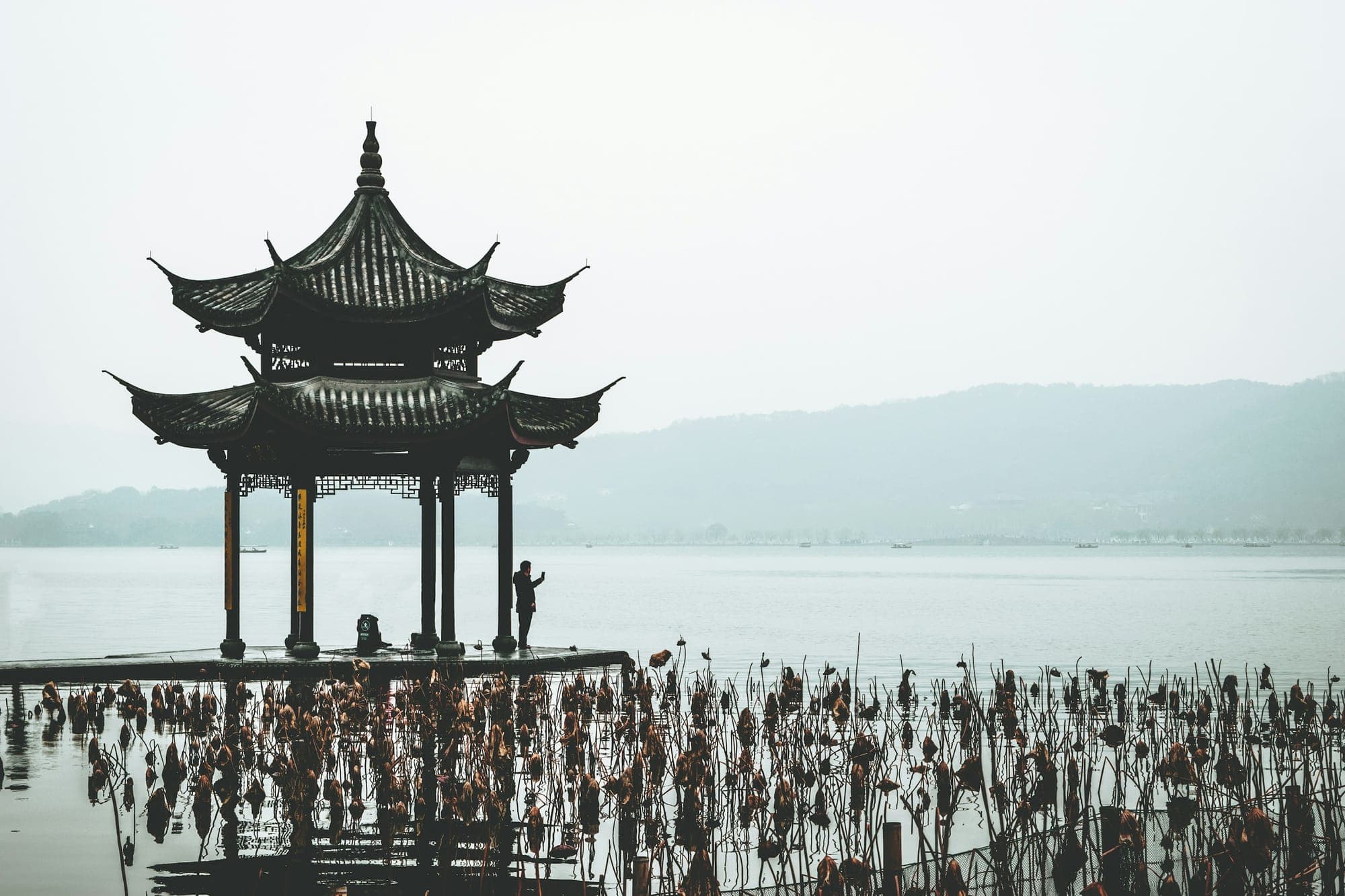 Un pavillon au-dessus des tiges de lotus du lac de l'Ouest à Hangzhou