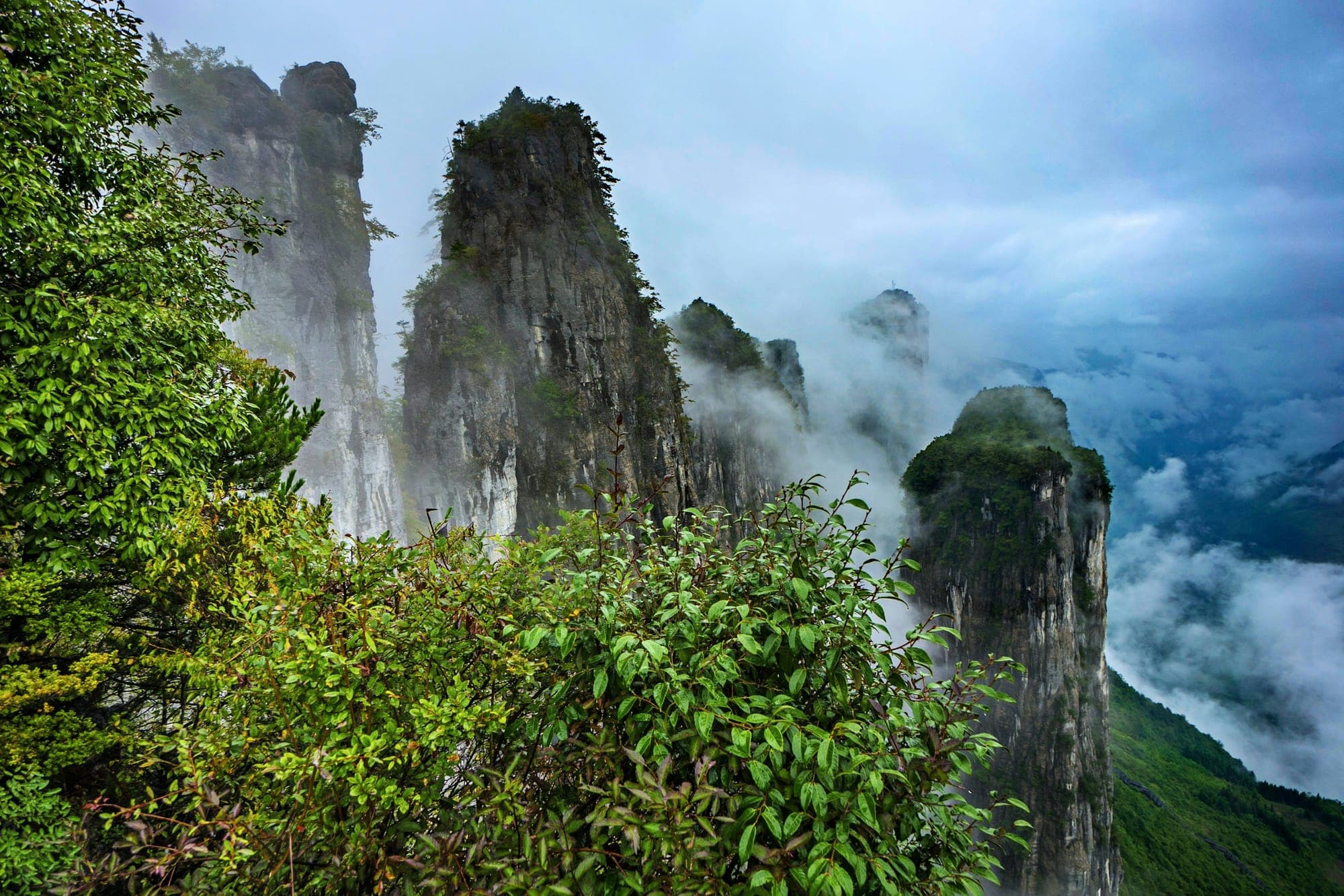 Piliers calcaires au-dessus des nuages près d’Enshi, Hubei