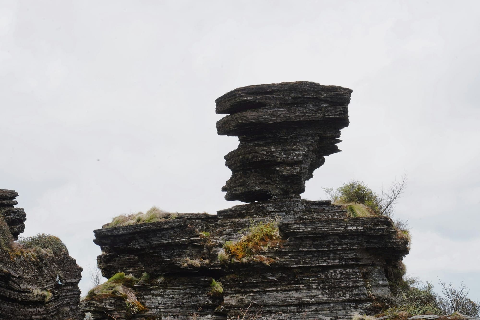 Der geschichtete Schieferfelsen Mushroom Rock am Fanjingshan in Guizhou