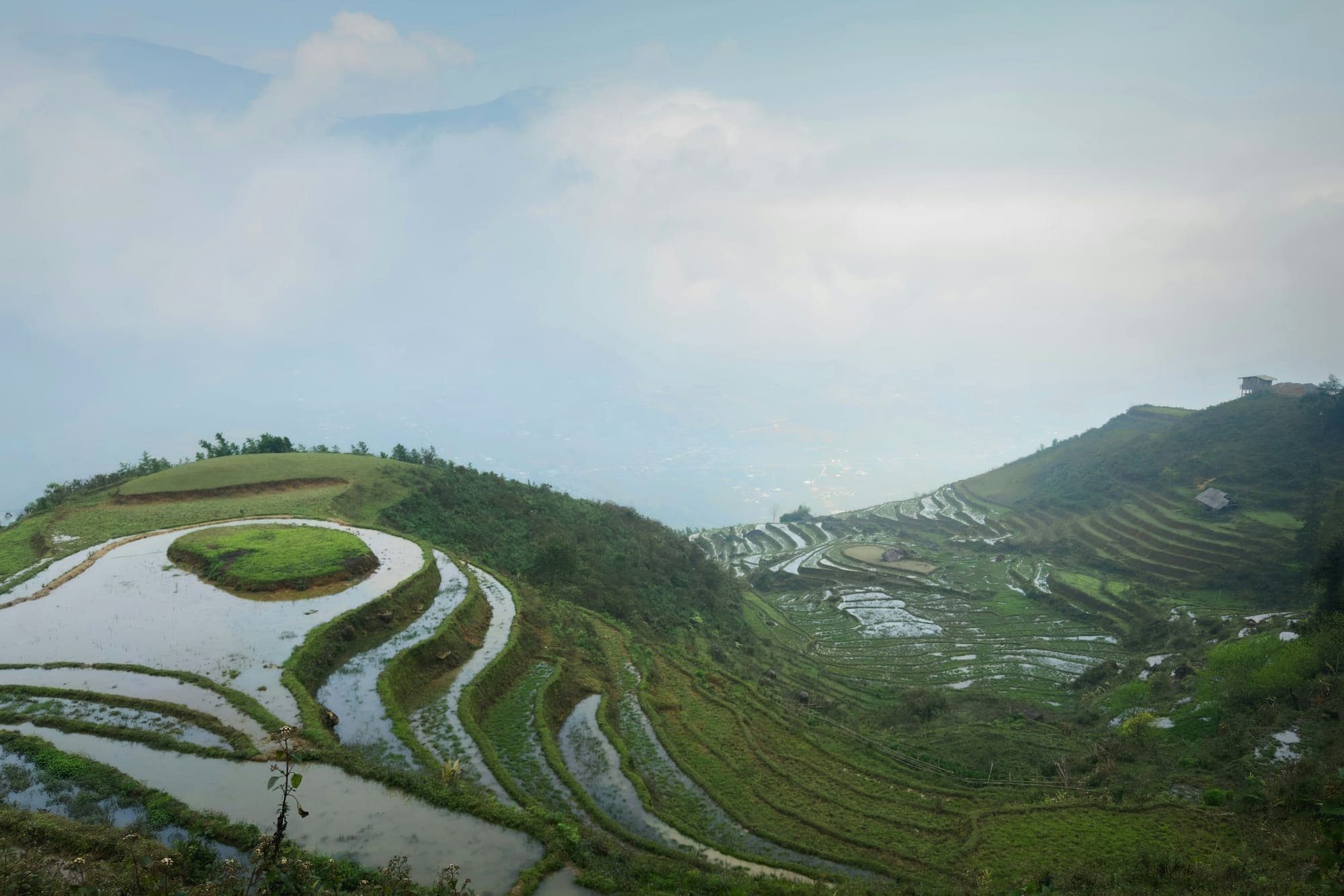 Terrazze di riso Hani piene d'acqua su un pendio nebbioso a Yuanyang, nello Yunnan
