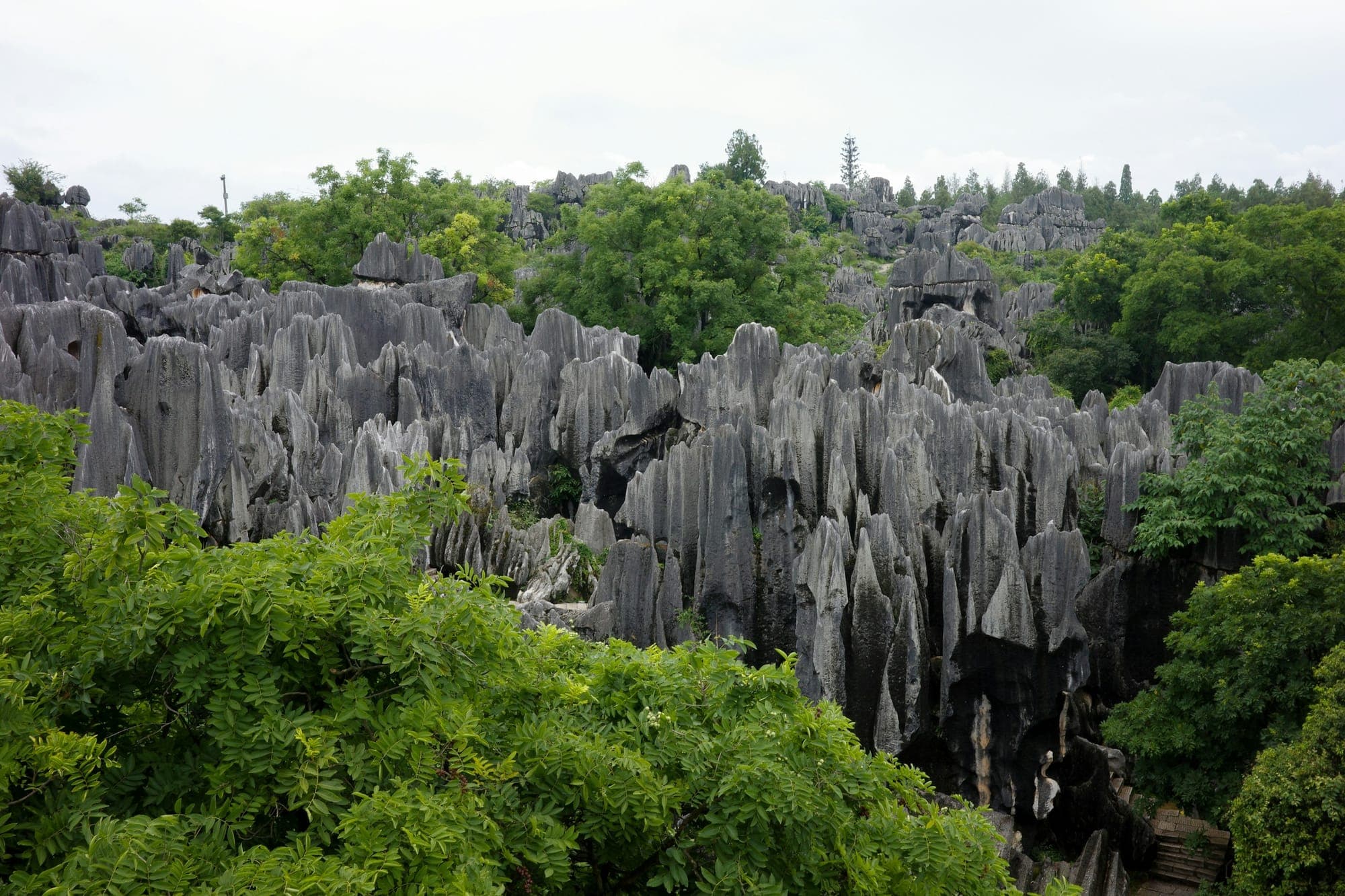 Los pináculos de caliza del Bosque de Piedra cerca de Kunming