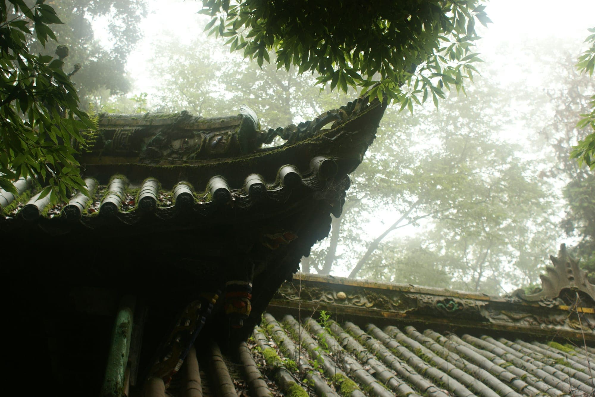 Aleros de templo entre árboles en un bosque de montaña con niebla