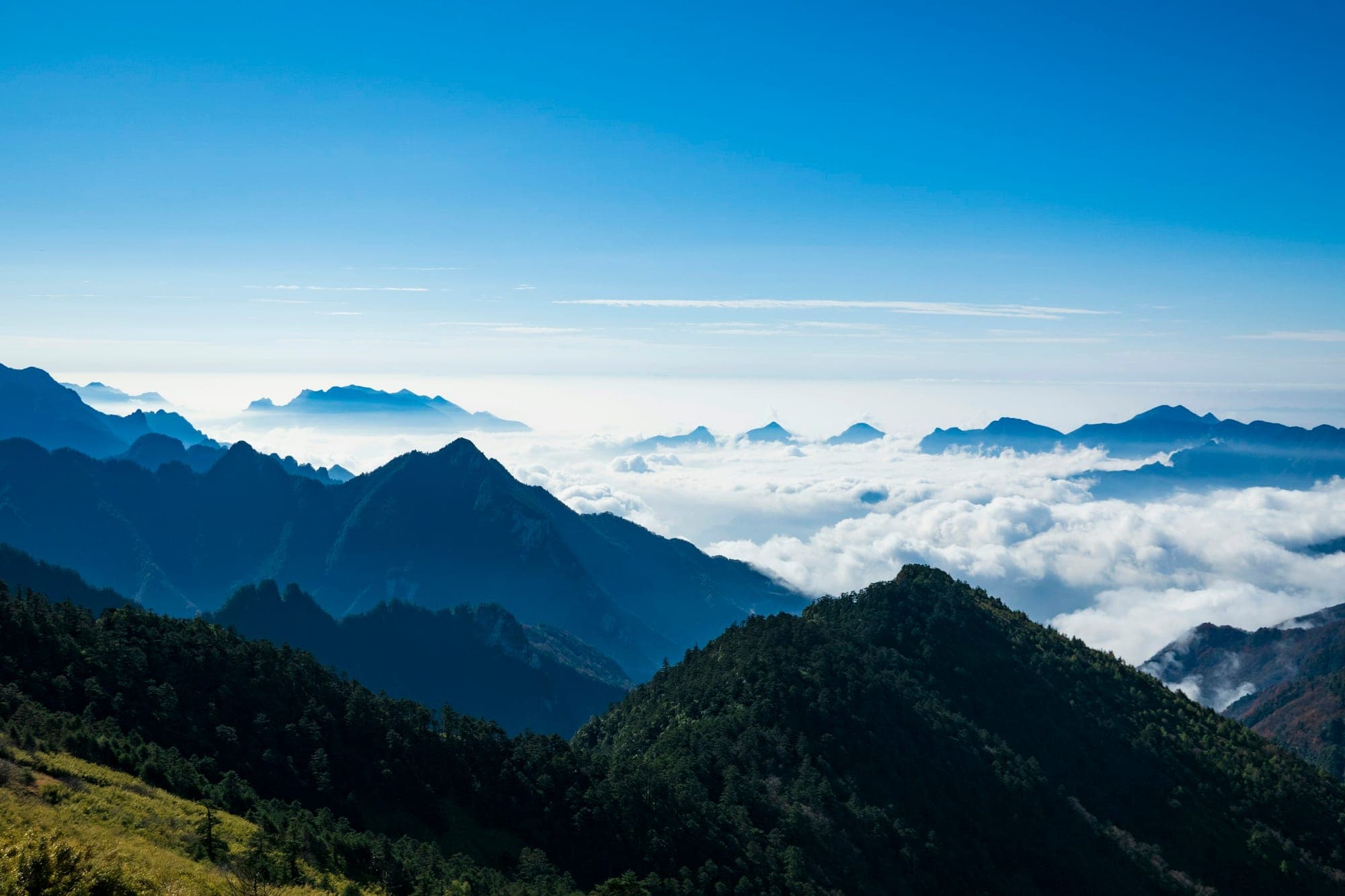 Creste ricoperte di foresta sopra un mare di nuvole a Shennongjia, Hubei