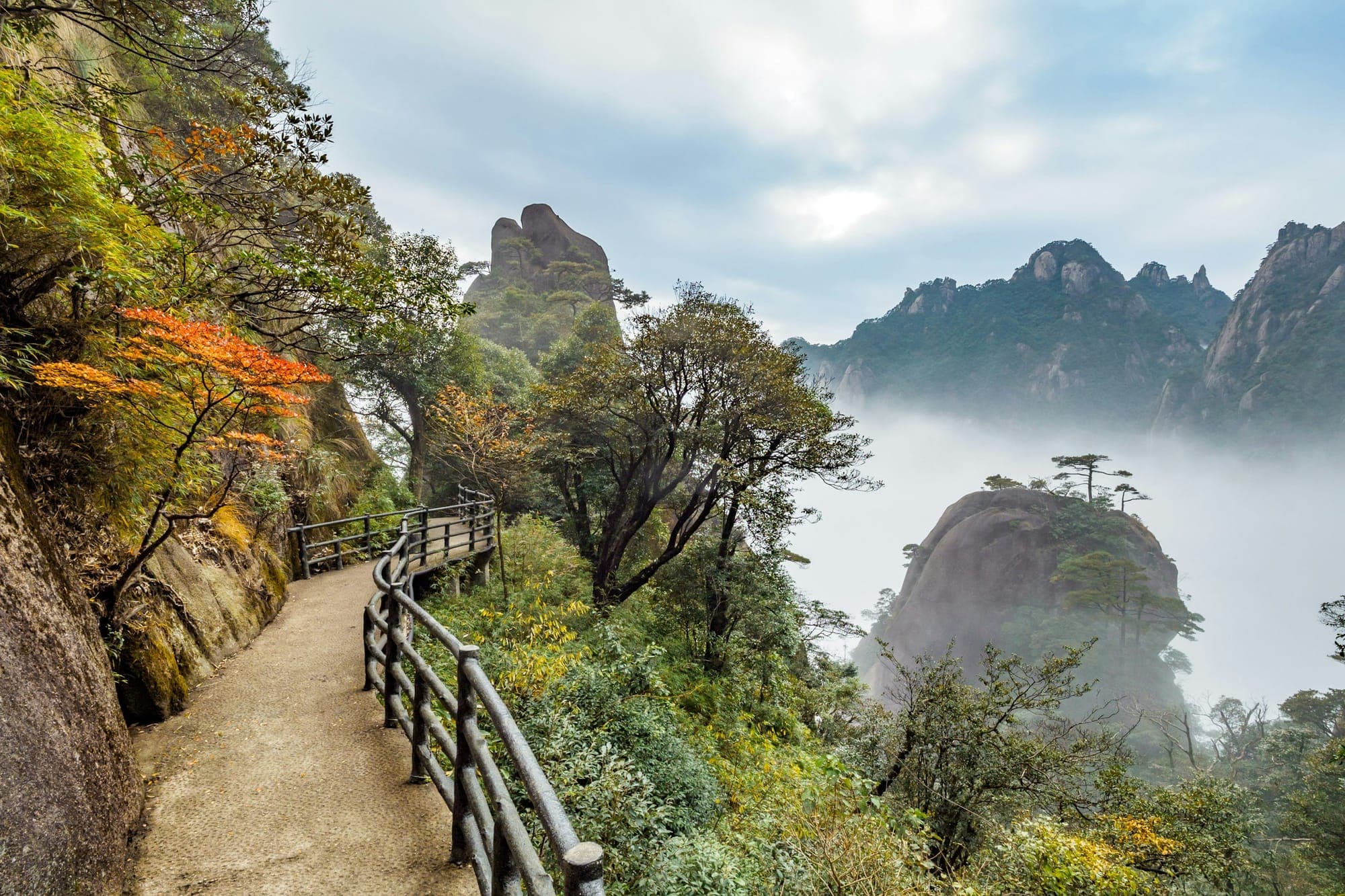 Couleurs d'automne le long d'un sentier à flanc de falaise au-dessus des nuages, sur le mont Sanqing dans le Jiangxi