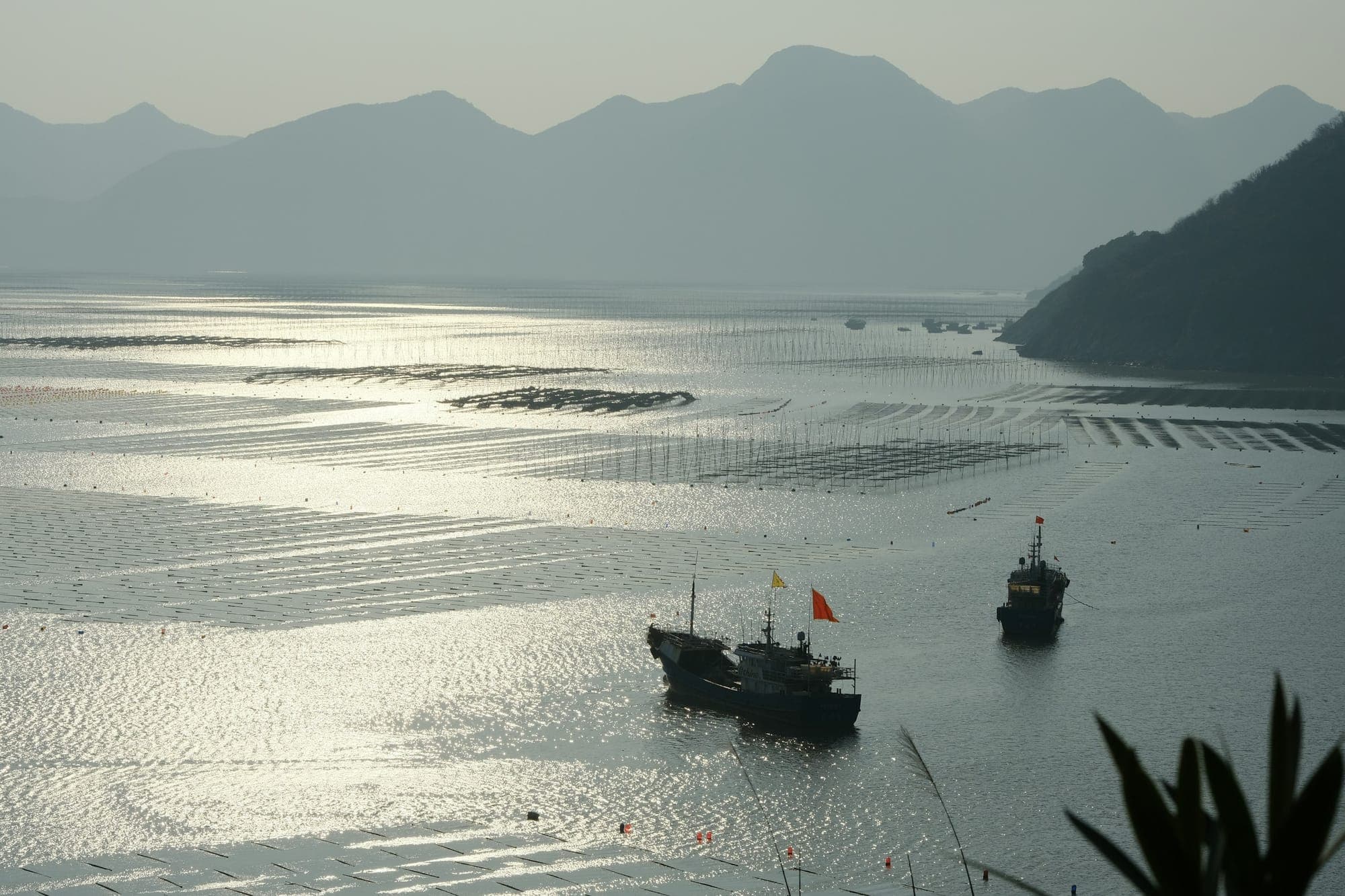 Barcos de pesca en la bahía mareal plateada de Xiapu, Fujian