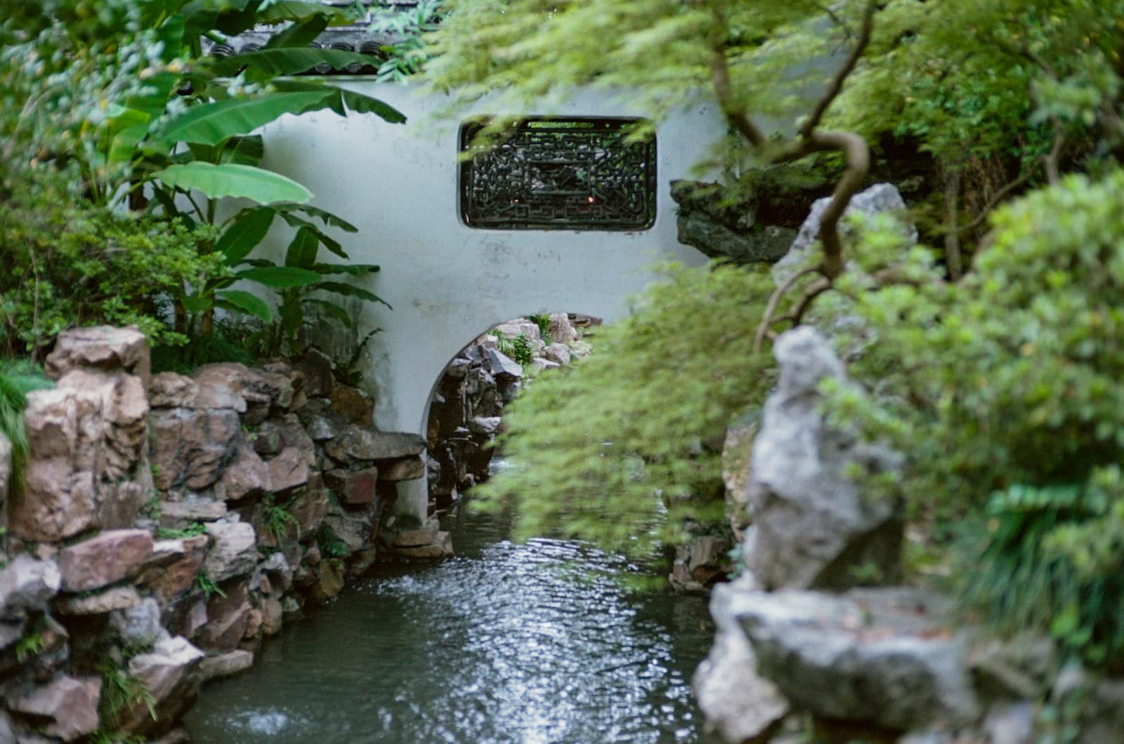 A quiet Suzhou garden scene with water and greenery