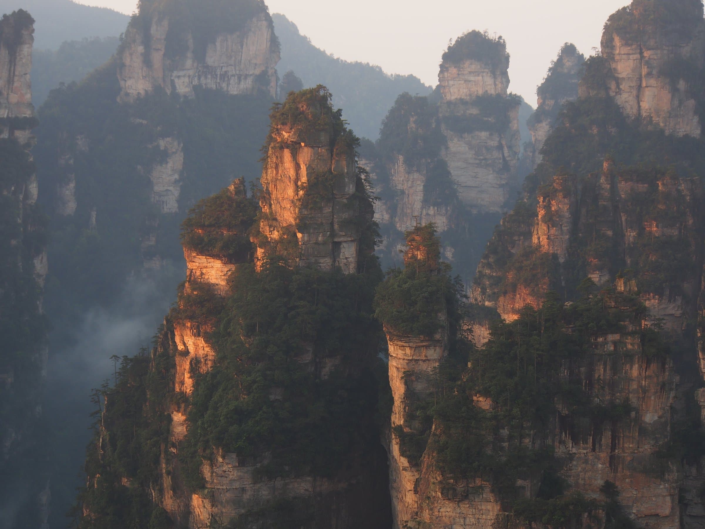 Quarzsandsteinsäulen im Morgengrauen in Zhangjiajie, Hunan – die reale Landschaft, die häufig mit dem Avatar-Tourismus verbunden wird