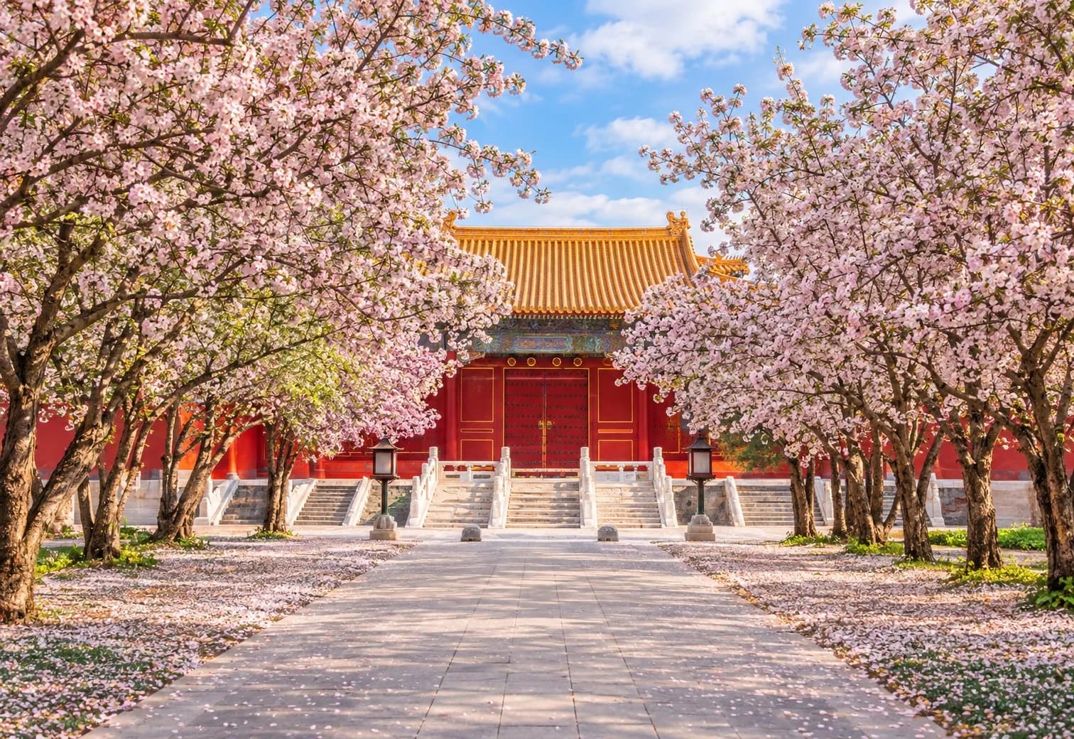 Forbidden City gates framed by spring blossom for a first-time China itinerary