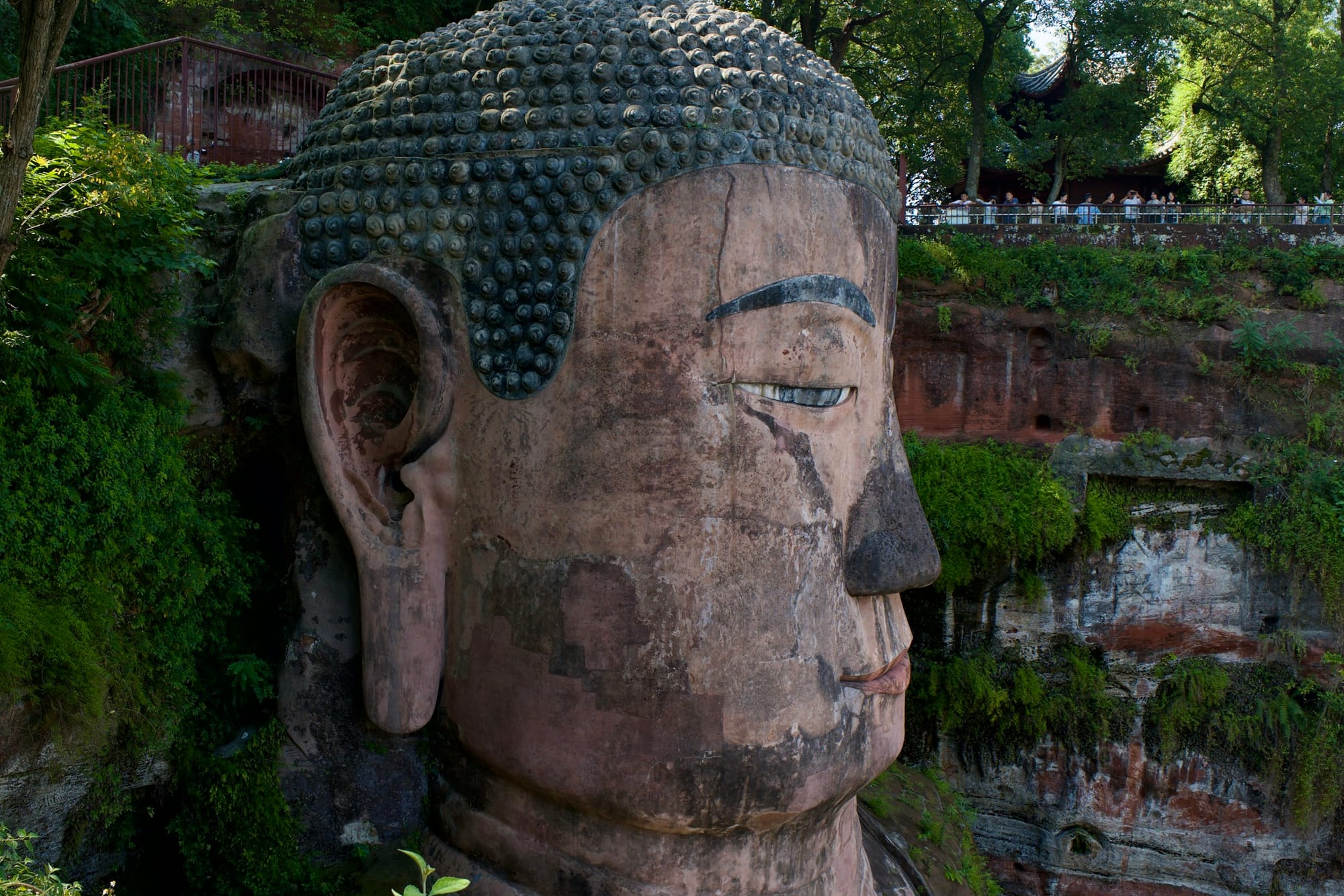 La cabeza del Buda Gigante de Leshan tallada en el acantilado rojo