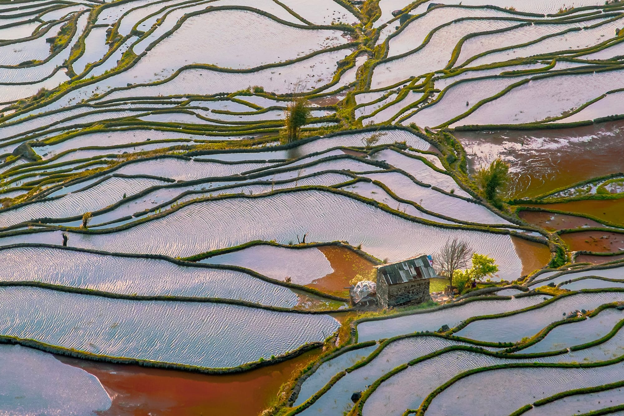 Geflutete Reisfeldterrassen von Yuanyang spiegeln den Himmel, Yunnan