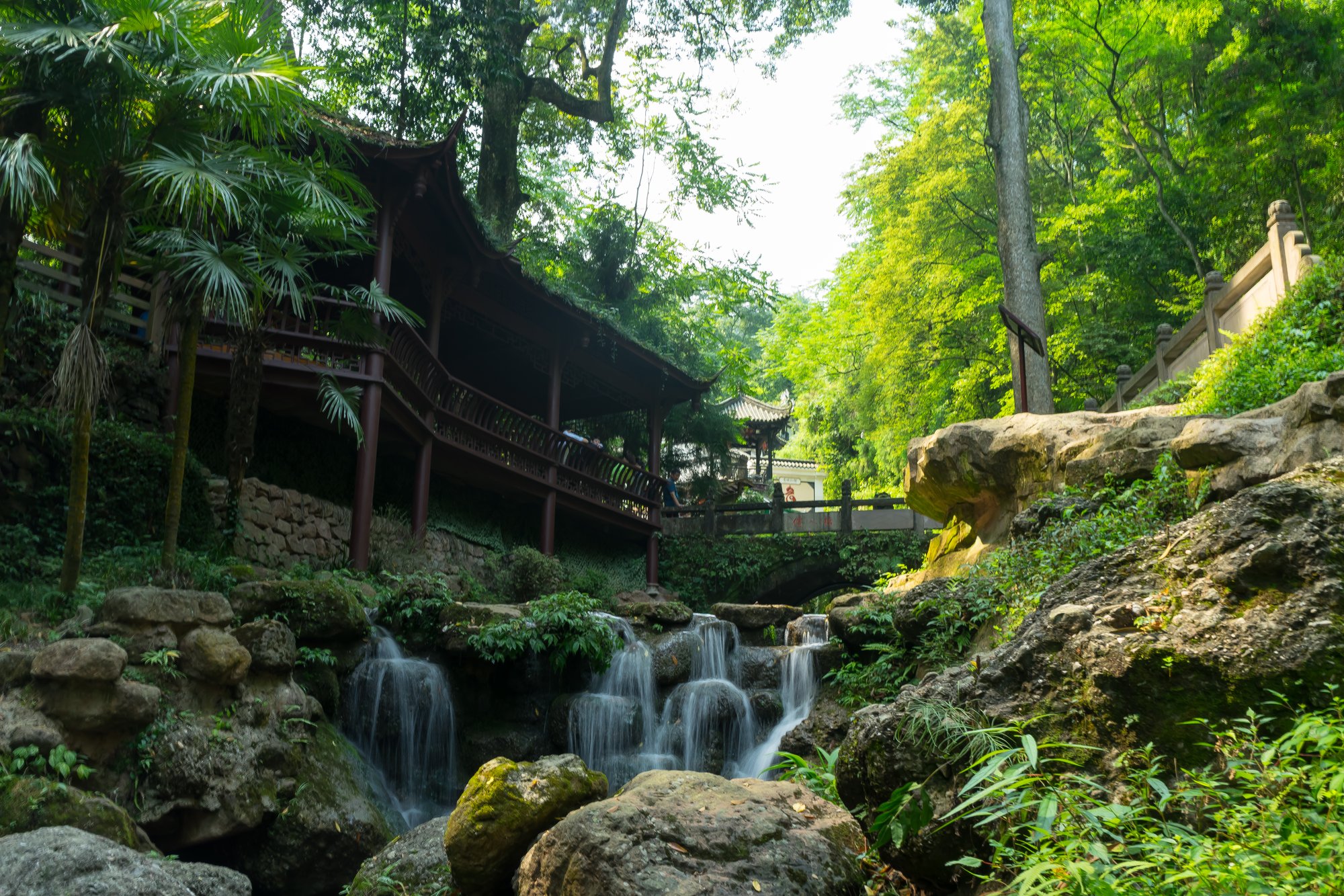 Forested ridges of Mount Qingcheng near Dujiangyan, Chengdu — a landscape DreamWorks artists studied for Kung Fu Panda 2